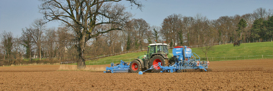 einsaat 9649 900x300