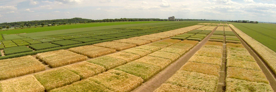 pflanzenbau versuchswesen 900x300