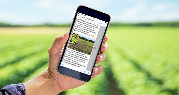 BB 20181022 whatsAppNews