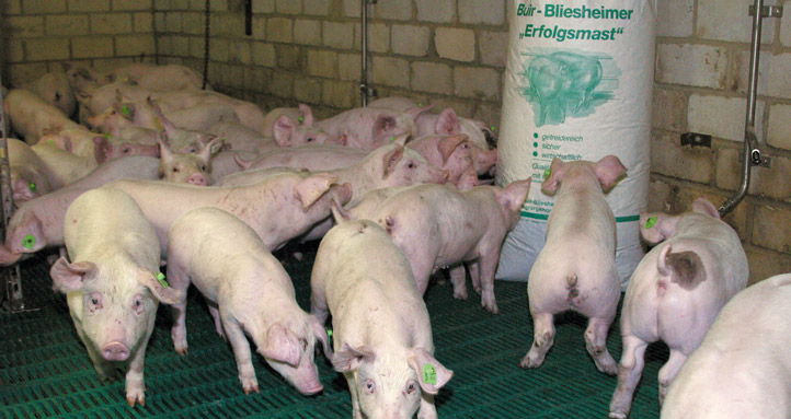 futtermittel schweine 1 722x383
