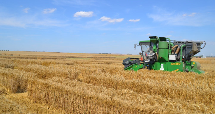 pflanzenbau feldversuch2 722x383