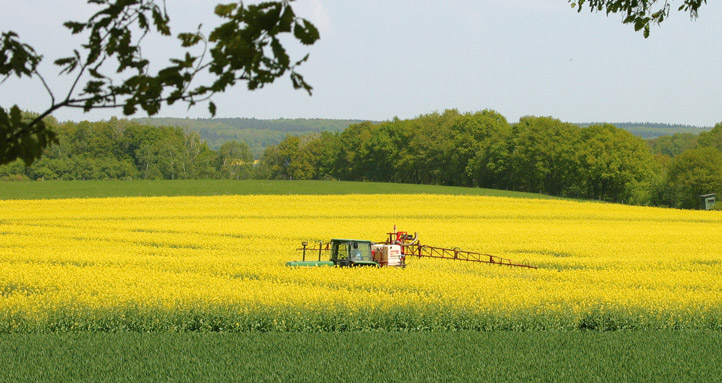 planzenschutz raps 722x383