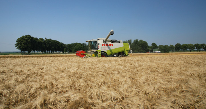 vermarktung getreide 7764 722x383