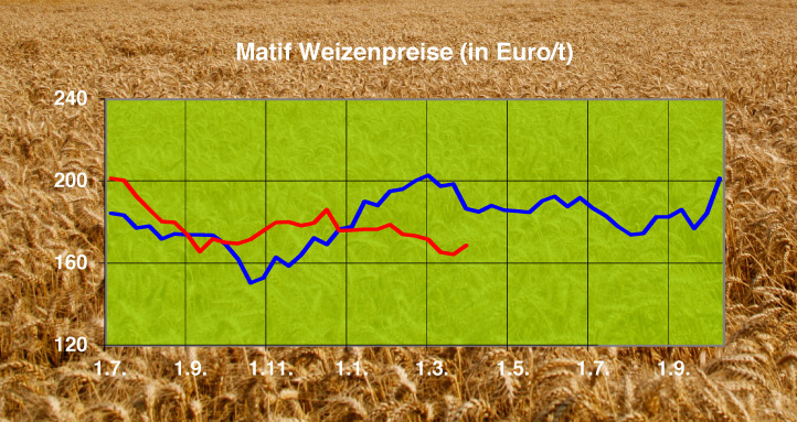 vermarktung marktbericht weizen 722x383